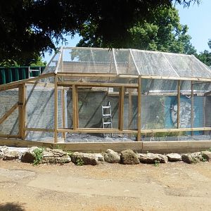 HANWELL ZOO:  New Lemur enclosure?