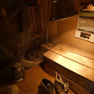 Black-headed Python Exhibit