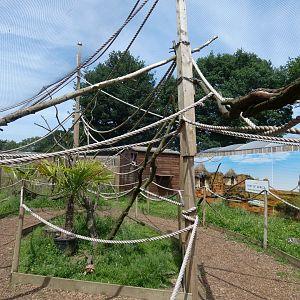 View of 'Land of the Lemur'