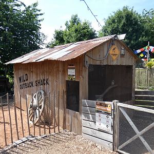 Laughing Kookaburra Aviary in 'Wild Australia'