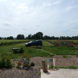 View of Amphitheatre