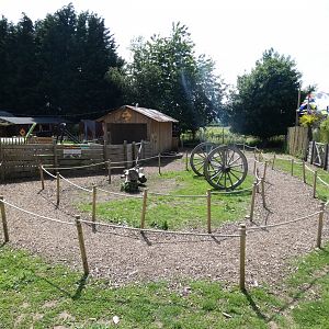 View of Wallaby and Emu Walk-through in 'Wild Australia'