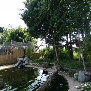 View of Palawan binturong, Asian-short clawed otters and Asian palm civet exhibit in 'Wild Asia'