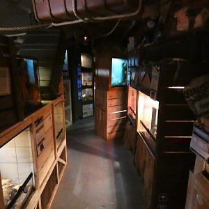 View of corridor in 'Reptiles Unleashed'