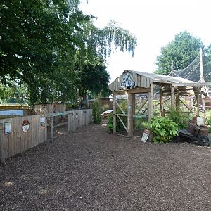 View of 'Wild Africa'