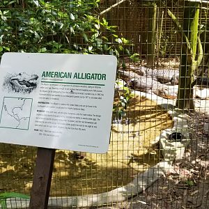 American Alligator sign