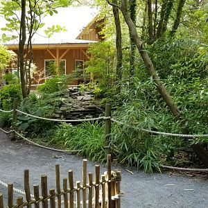 Path from alligators to rear of Morgan building