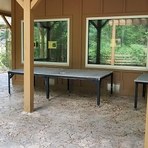 Rear of (closed) Morgan building