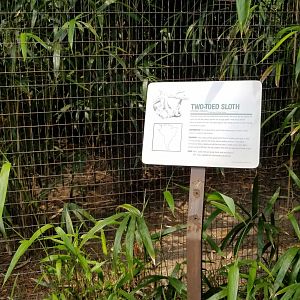 Two-toed Sloth sign