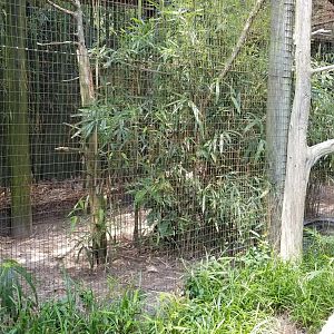Sloth enclosure