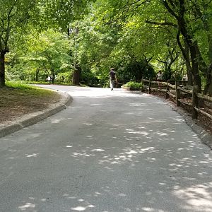 Continuation of main pathway