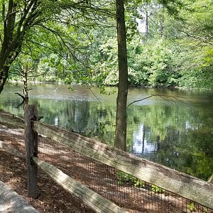View of waterway from main pathway