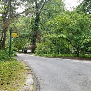 Split in pathway to gift shop