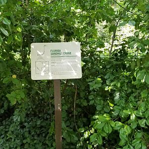 Florida sandhill crane sign