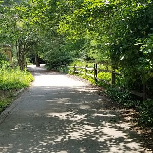 Path from cranes to owl