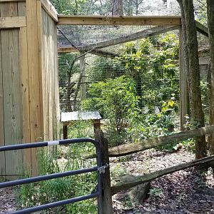 Rear of owl enclosure