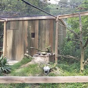 Owl enclosure