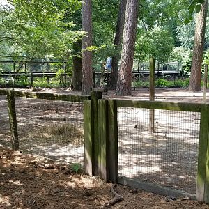 Unlabeled enclosure between cavies and boardwalk