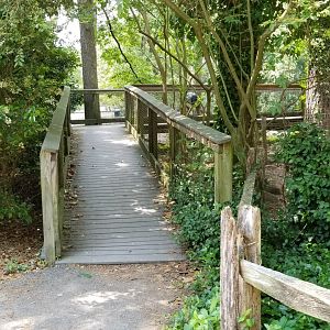 Ramp to water boardwalk