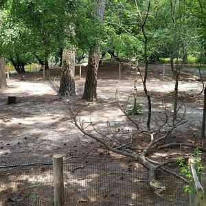 Unlabeled enclosure from boardwalk