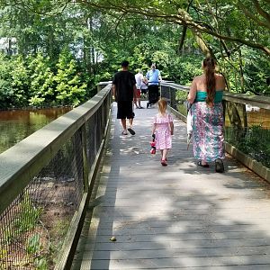 Boardwalk to waterway