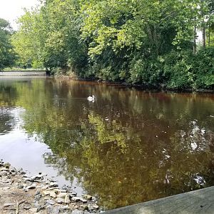 Westward view from boardwalk