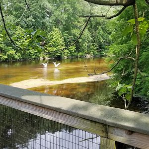 Eastward view from boardwalk