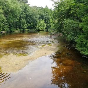 Wild blue heron in waterway