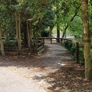 Birds of prey path