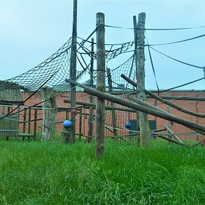 Former chimp enclosure