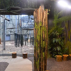 New chimp enclosure indoor viewing