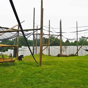 New chimp enclosure.