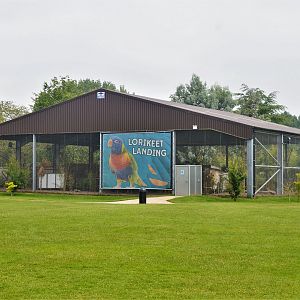 Infamous lorikeet walkthrough.