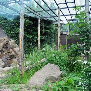 Part of Amur leopard cage
