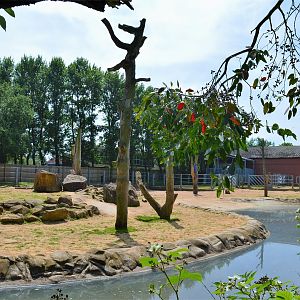 Asian elephant enclosure