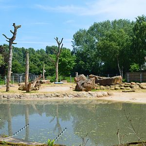 Asian elephant enclosure