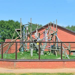 Bonobo enclosure