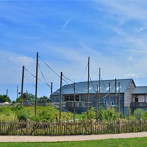 Approaching gibbon islands
