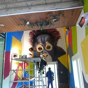 Inside the orangutan house, June 2018