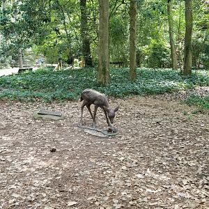 Fawn and turtle statue