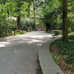 Path to jaguar exhibit