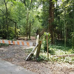 Dilapidated enclosure