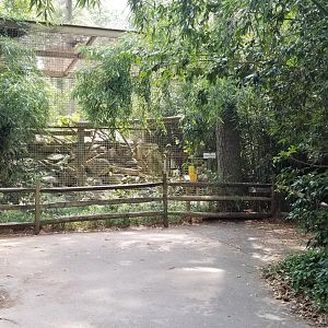 Jaguar enclosure
