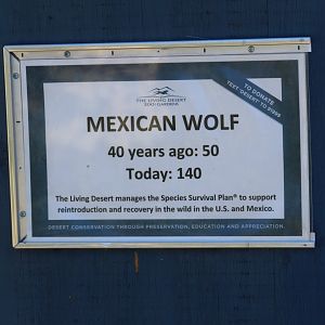 Mexican Wolf Conservation Signage