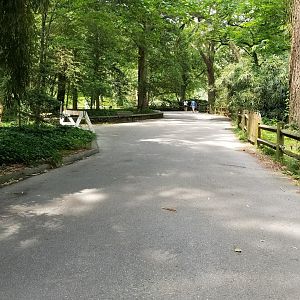 Path from jaguar enclosure