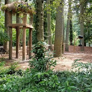 View of S. American exhibit from main path