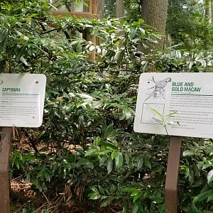 Capybara and macaw signs