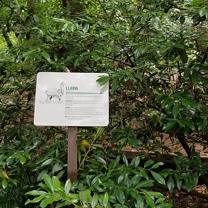 Llama sign