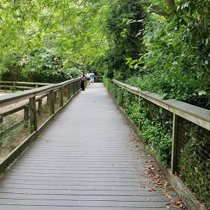 Main boardwalk