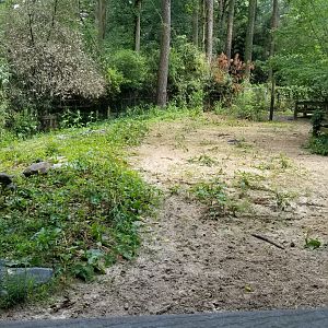 Left corner of bison yard